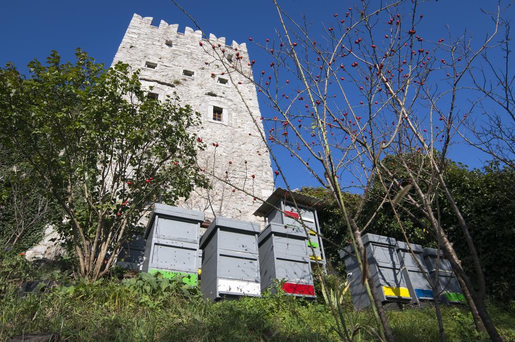 Apartmaji In Sobe Marija Jera Štanjel Esterno foto